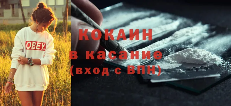 где купить наркоту  Барабинск  Cocaine FishScale 